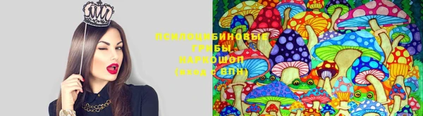 амфетамин Алексин