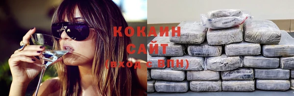 spice Алзамай