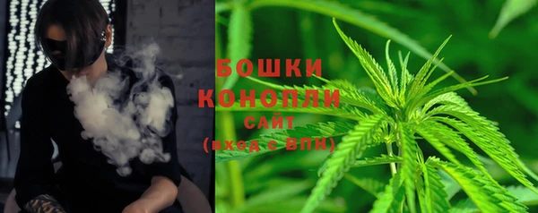 spice Алзамай