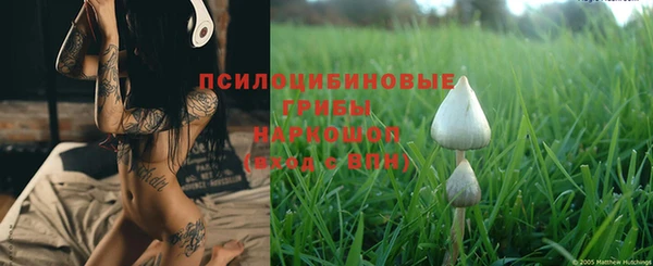 spice Алзамай