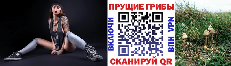Галлюциногенные грибы Cubensis  наркошоп  площадка как зайти  Алексеевка 