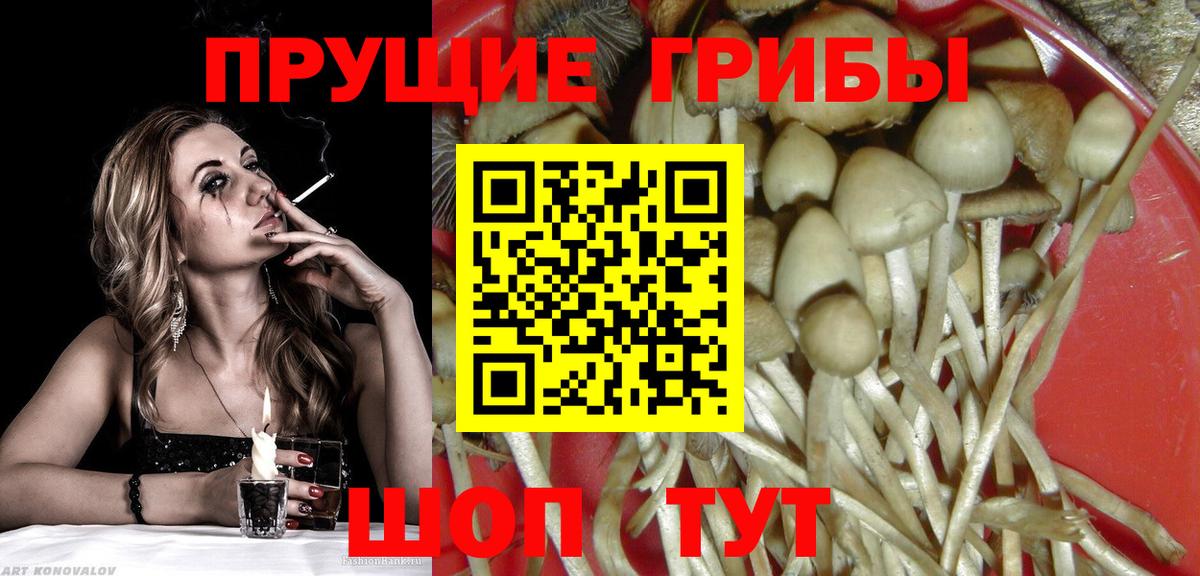 МЕФ Алексеевка