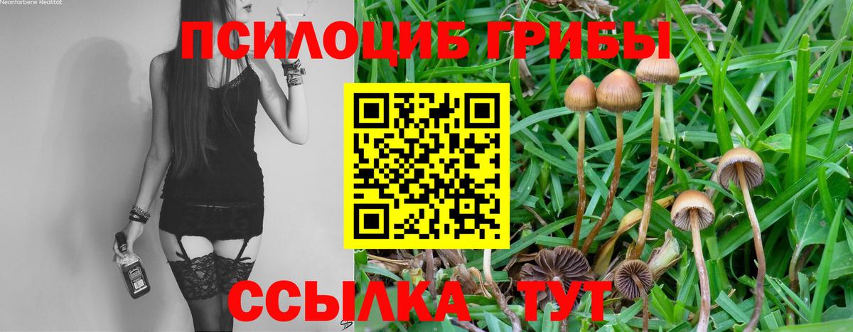 Галлюциногенные грибы ЛСД  Вход с VPN  Алексеевка 
