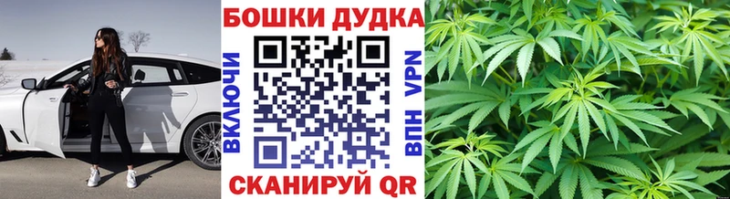 купить наркотик  Алексеевка  МАРИХУАНА Amnesia 